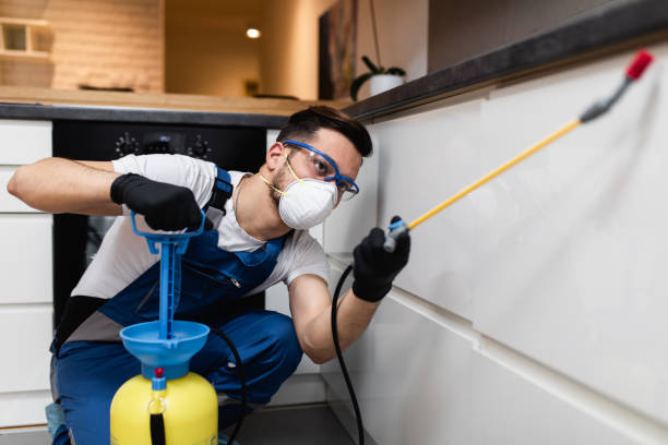 Best Local Pest Control Services  in Fayetteville, GA