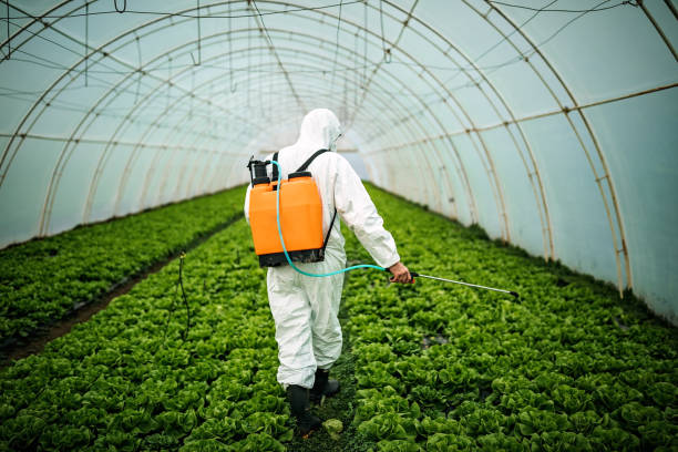 Best Pest Prevention Services  in Fayetteville, GA
