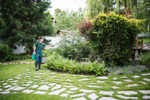 Best Pest Removal Services  in Fayetteville, GA