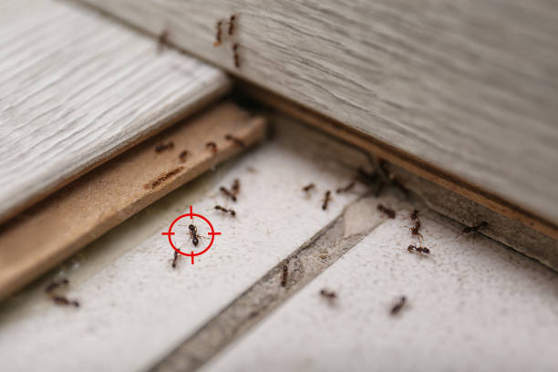 Best Commercial Pest Control Services  in Fayetteville, GA