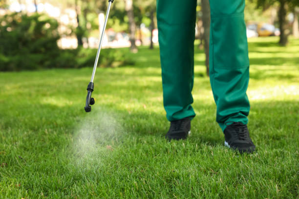 Best Affordable Pest Control Services  in Fayetteville, GA