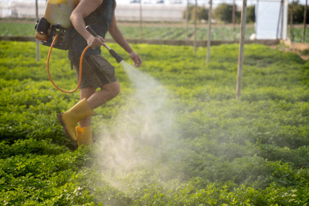 Pest Control Cost in Fayetteville, GA
