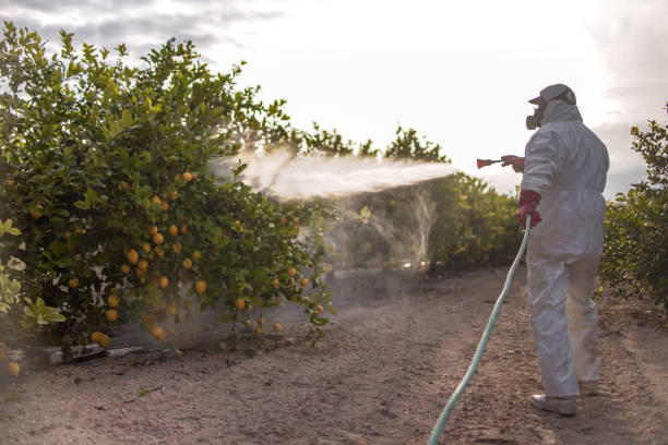 Best Best Pest Control Companies  in Fayetteville, GA