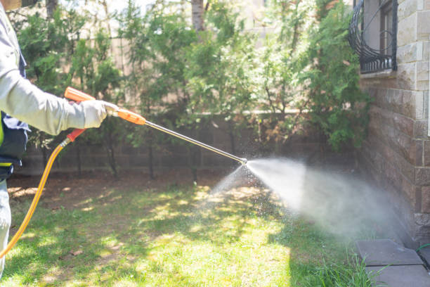 Best Insect Control  in Fayetteville, GA