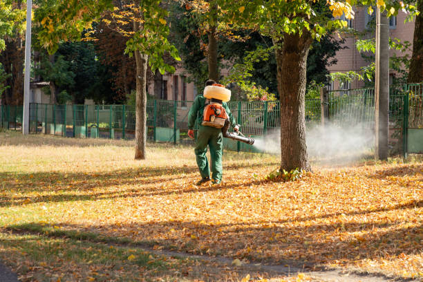 Best Bed Bug Extermination  in Fayetteville, GA