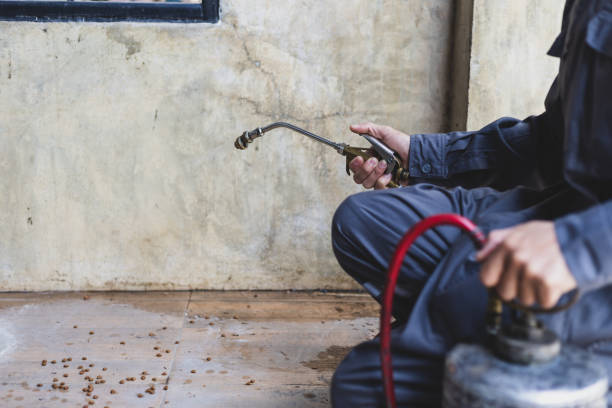 Best Pest Control Near Me in Fayetteville, GA